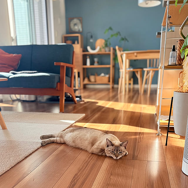 amさんの実例写真