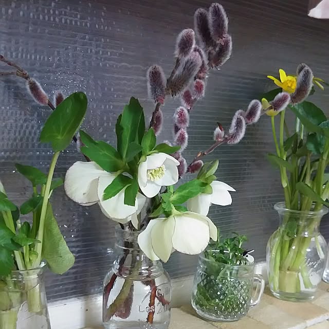 naopyiさんの実例写真