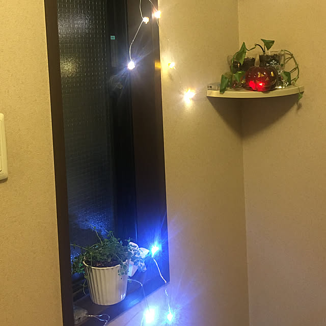 umechan_13さんの実例写真