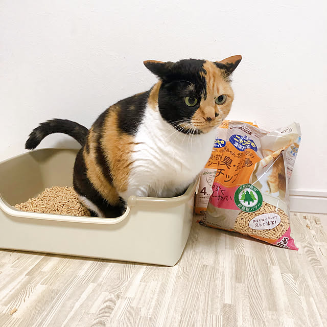 kuuaさんの実例写真