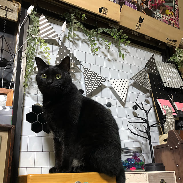 vivienne.coco-keiさんの実例写真