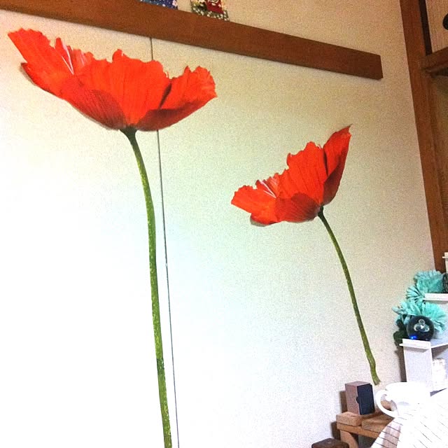 aguchanさんの実例写真