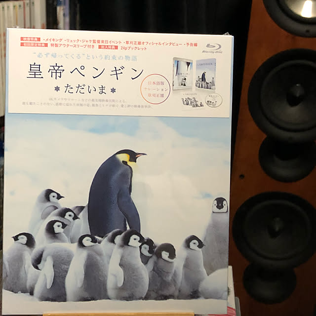 Shigeさんの実例写真