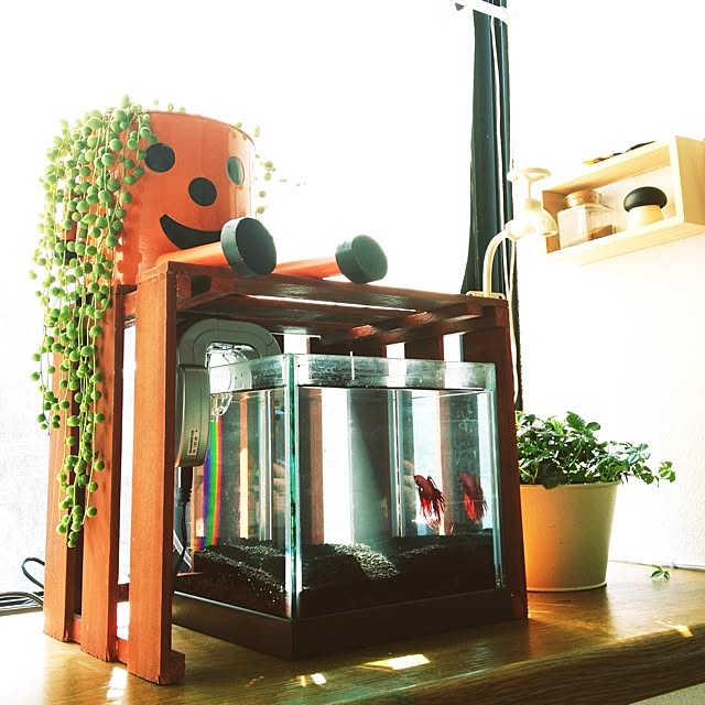 L.さんの実例写真