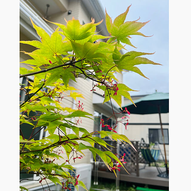 Maryさんの実例写真