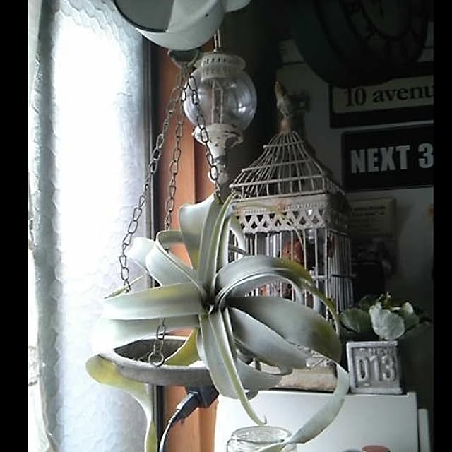 INDOORさんの実例写真