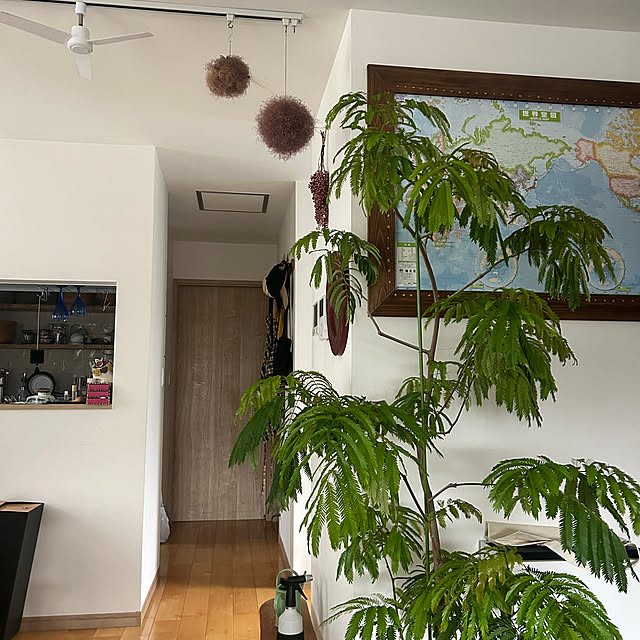 hatsugaさんの部屋