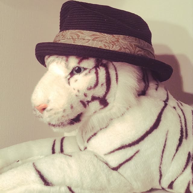 tachiさんの実例写真