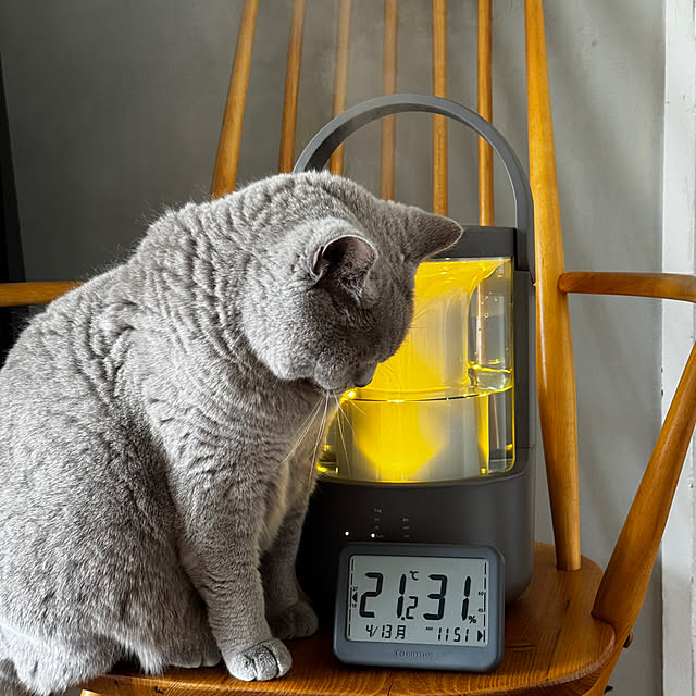 chulashihoさんの部屋