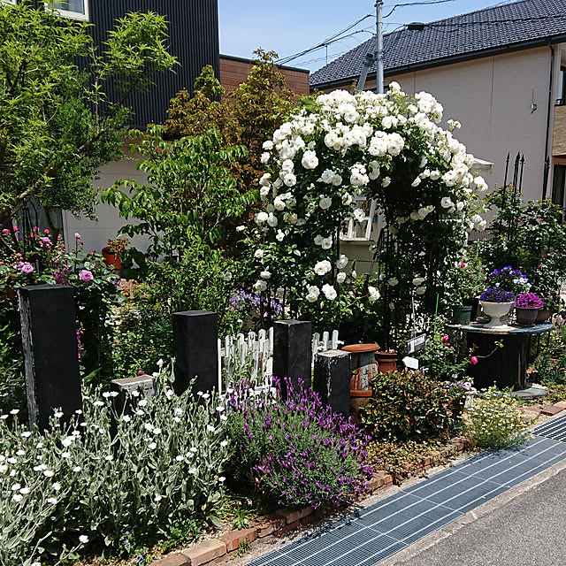 tomotomoさんの実例写真