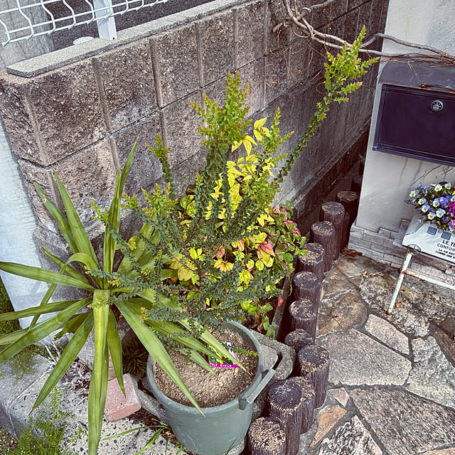 ayayayayaさんの部屋