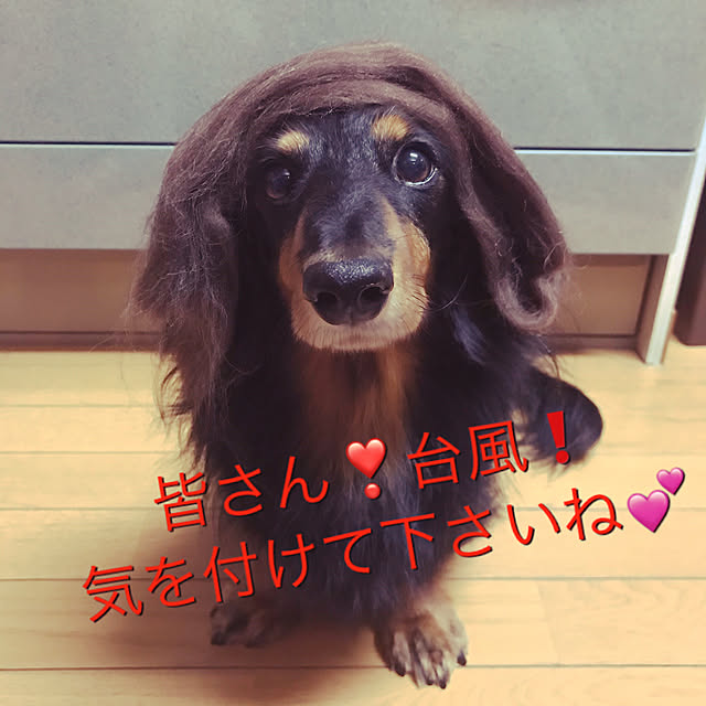 TAKAさんの実例写真