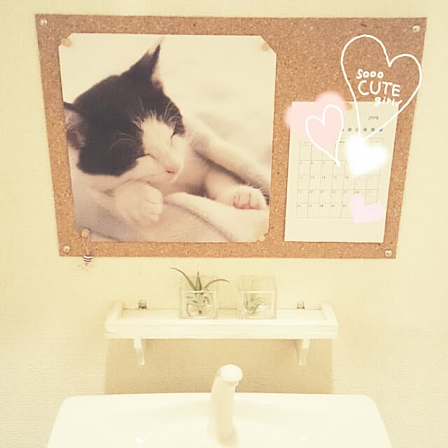 chiroさんの実例写真