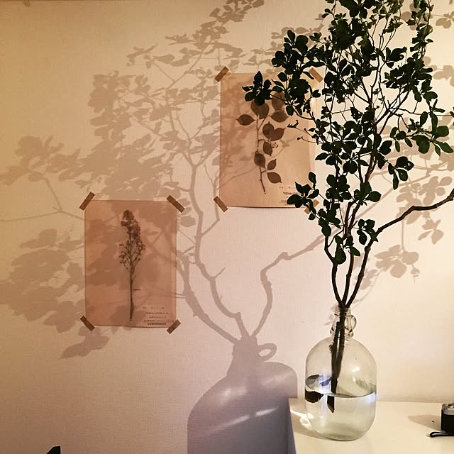 b_to_uさんの実例写真