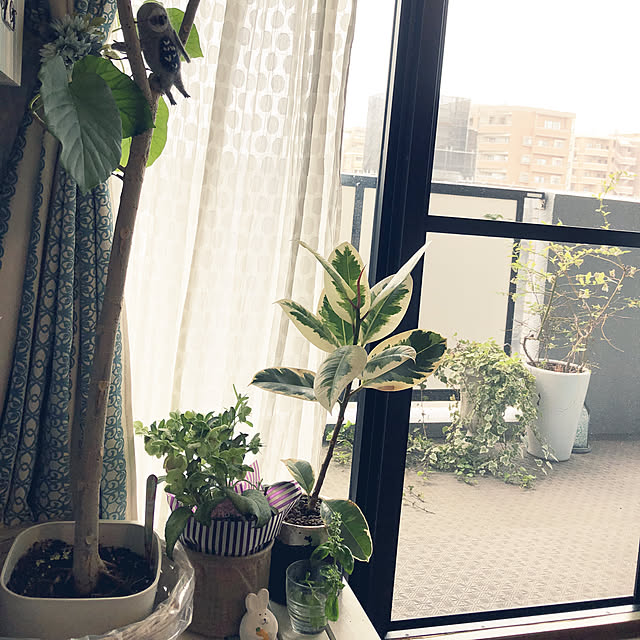 yukkoさんの実例写真