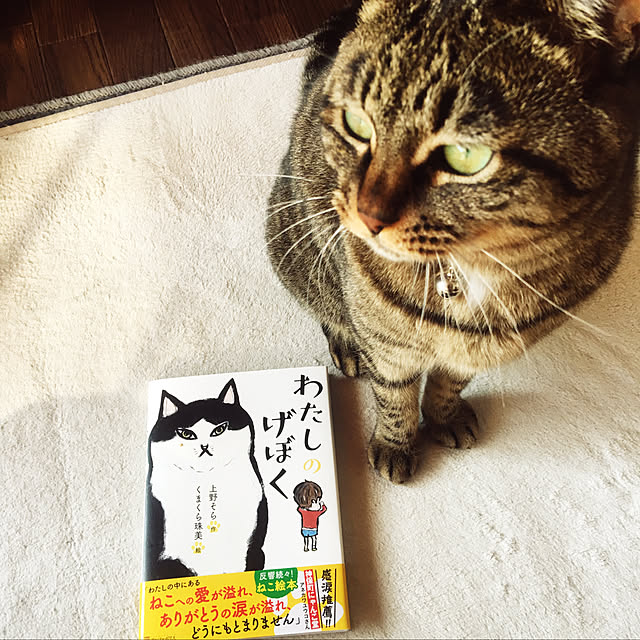 KINGさんの実例写真