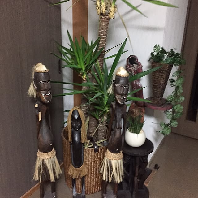 akoyanさんの実例写真