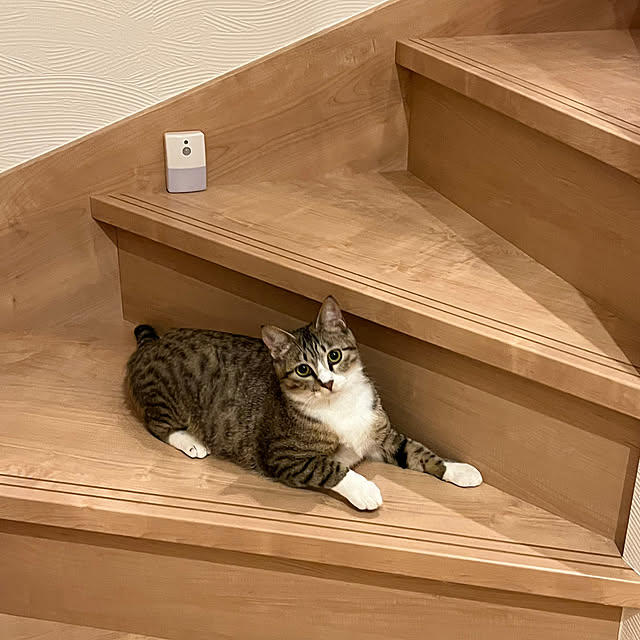 marinkarinさんの実例写真