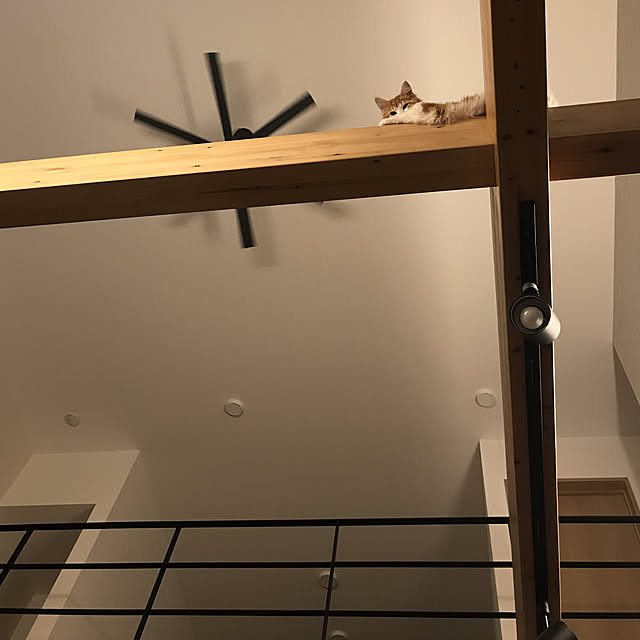 Chi_Zさんの実例写真