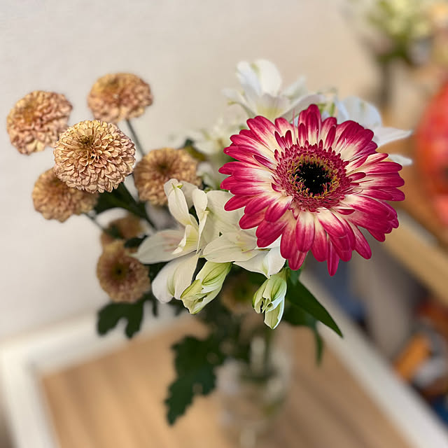 colzaさんの実例写真