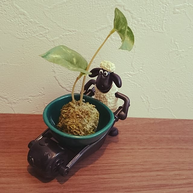 too14さんの実例写真