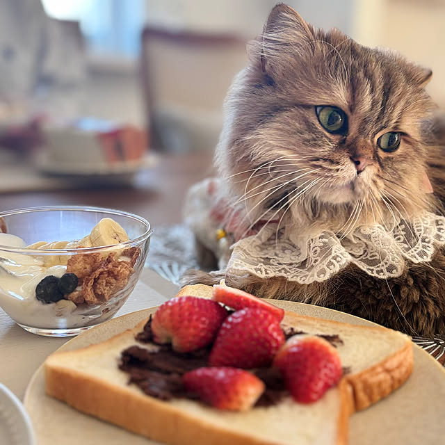 miyu39さんの部屋