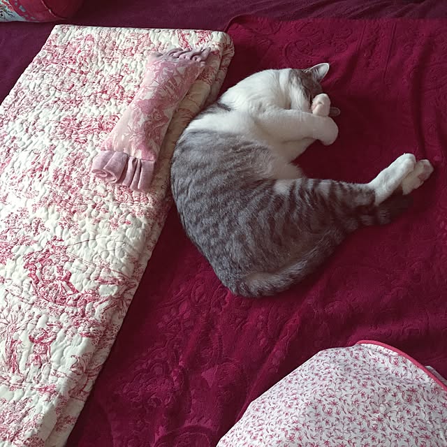 emmyyさんの実例写真