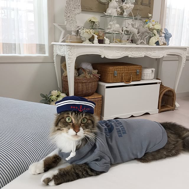 yuchiさんの実例写真