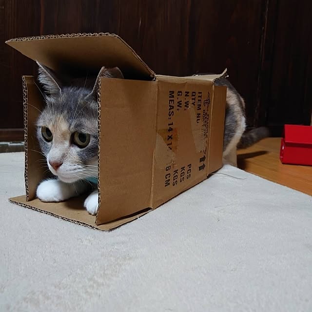 fukuさんの部屋