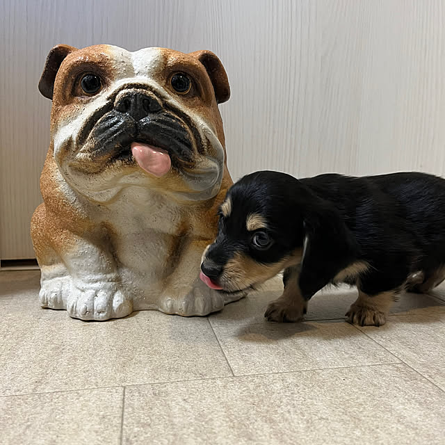 uninekoさんの実例写真