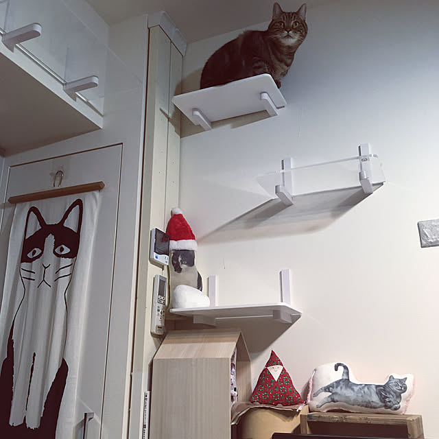mikomaruさんの実例写真