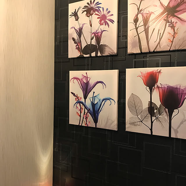miketan322さんの実例写真