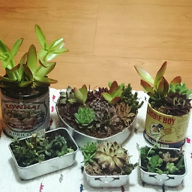 fu-sanさんの実例写真