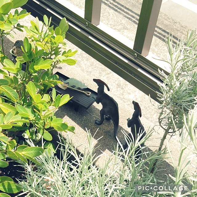 futukoさんの部屋