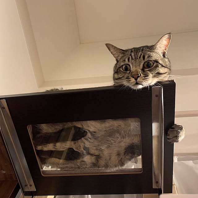 rapiさんの実例写真