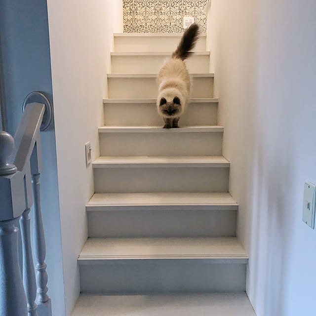 yuchiさんの実例写真