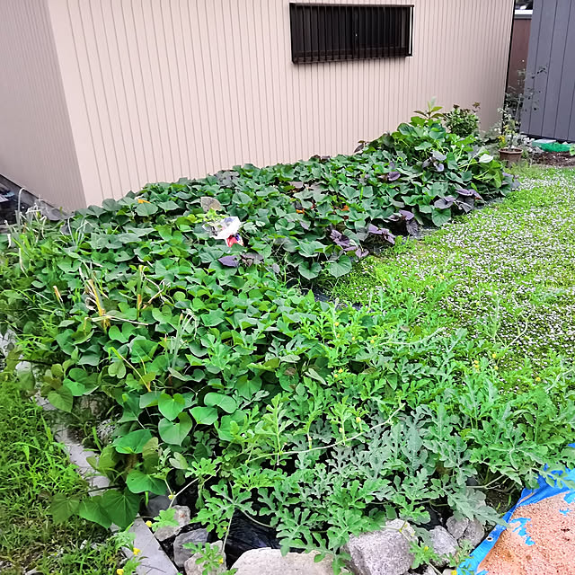 acoaco210さんの実例写真