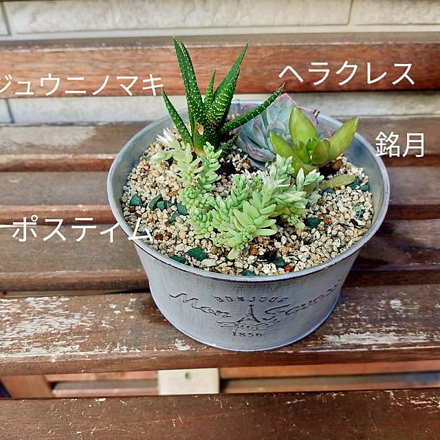 roomicさんの部屋