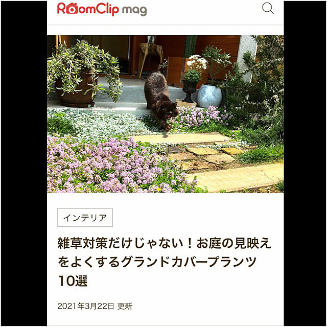 green.green.greenさんの実例写真