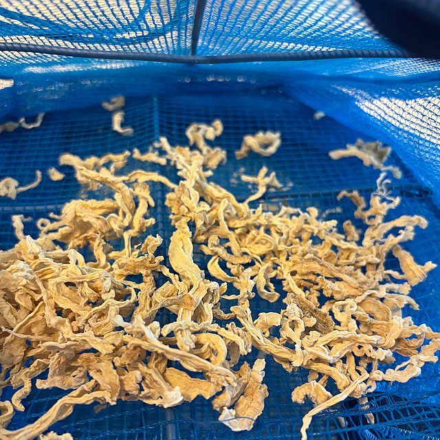 syutmmさんの部屋