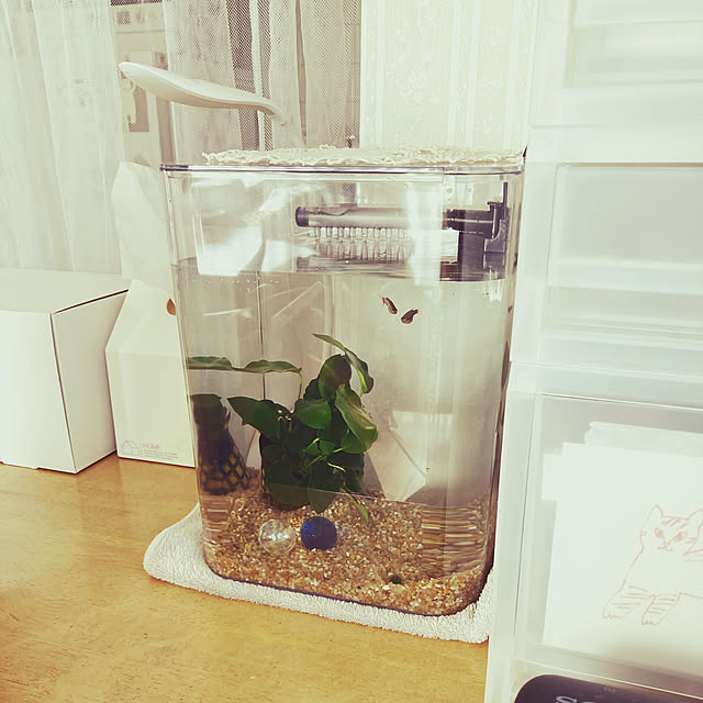 nocomomさんの実例写真