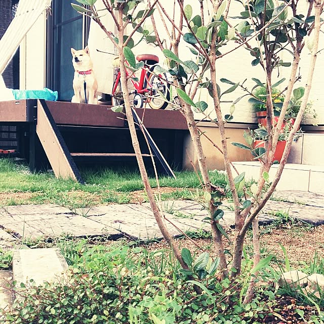 rikoさんの実例写真