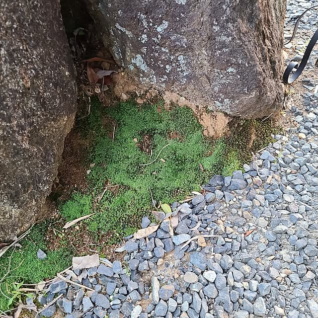 Rubiconさんの実例写真