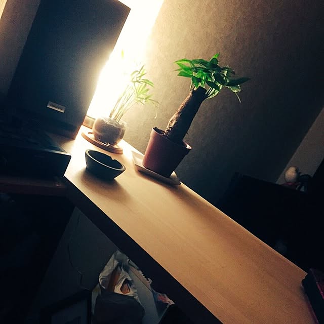 pippicopicoriさんの実例写真