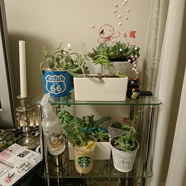 mizuさんの実例写真