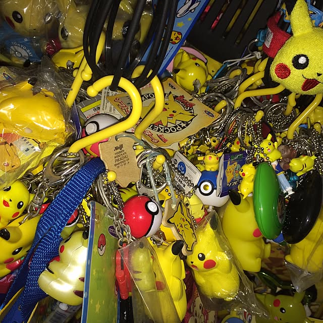 pikachu25voltさんの実例写真
