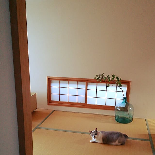 bonkiyoさんの実例写真