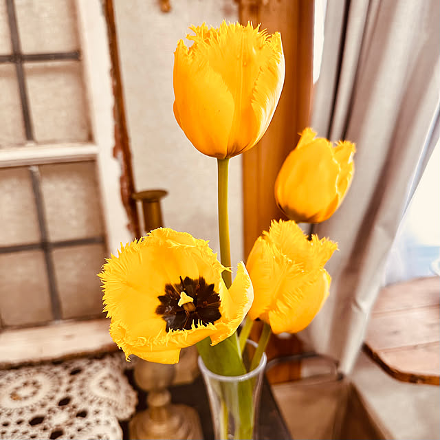 megmilkさんの部屋