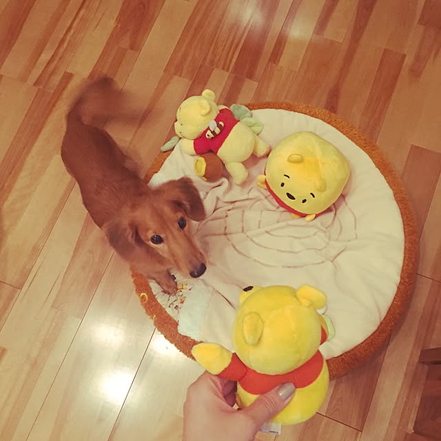 cocoaさんの実例写真