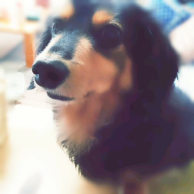 mayuさんの実例写真